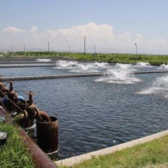SS Water Solution